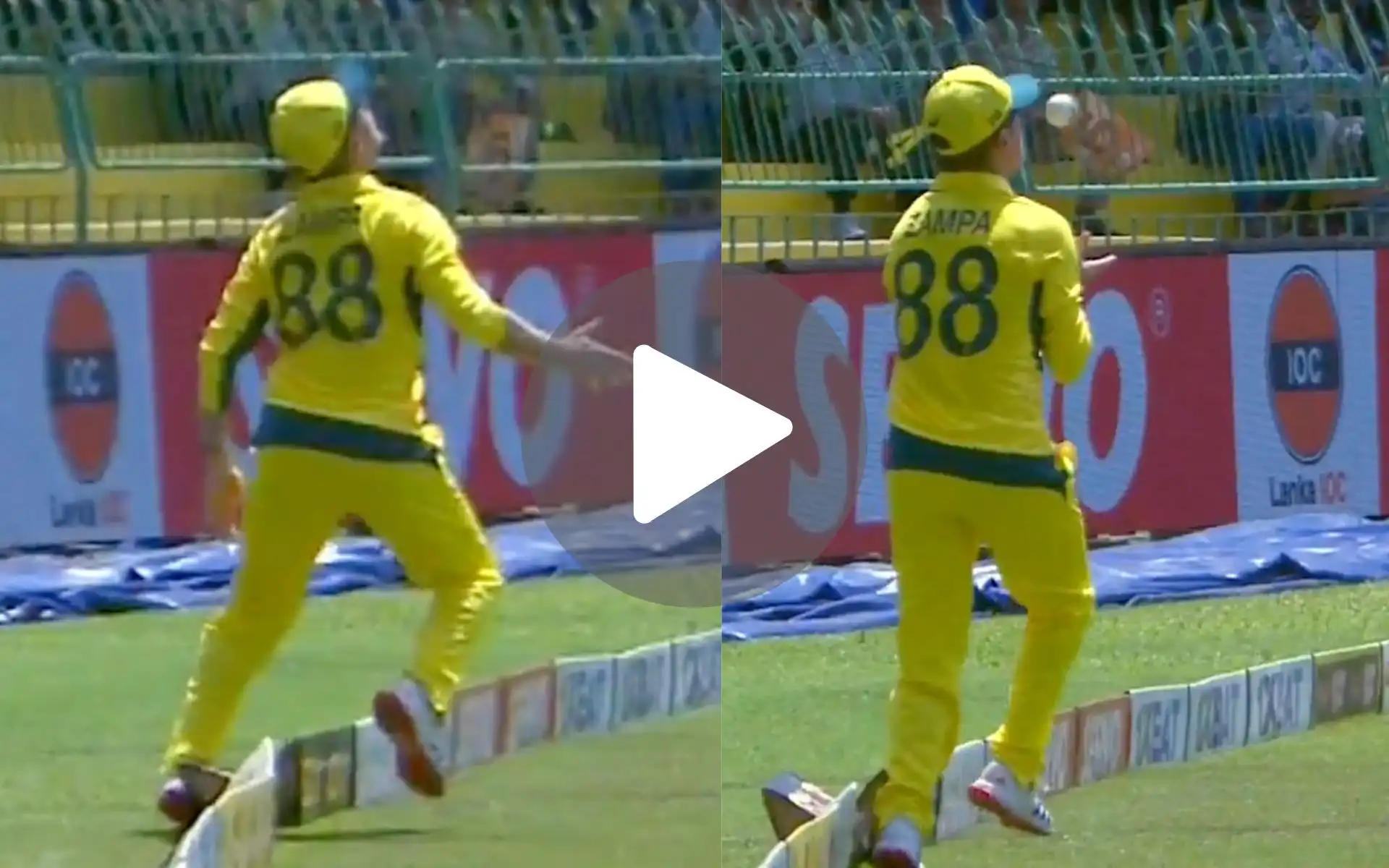 [Watch] Adam Zampa’s Near Blunder Turns Into A Stunning Wicket Of Nishan Madushka